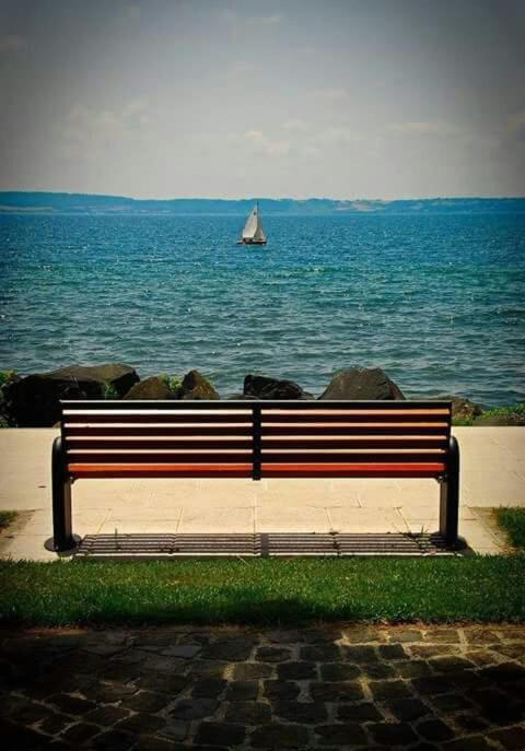 Photo of Others in Lake Bracciano