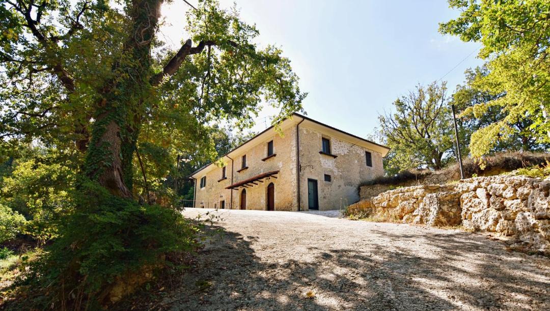 Photo of Others in Arpino