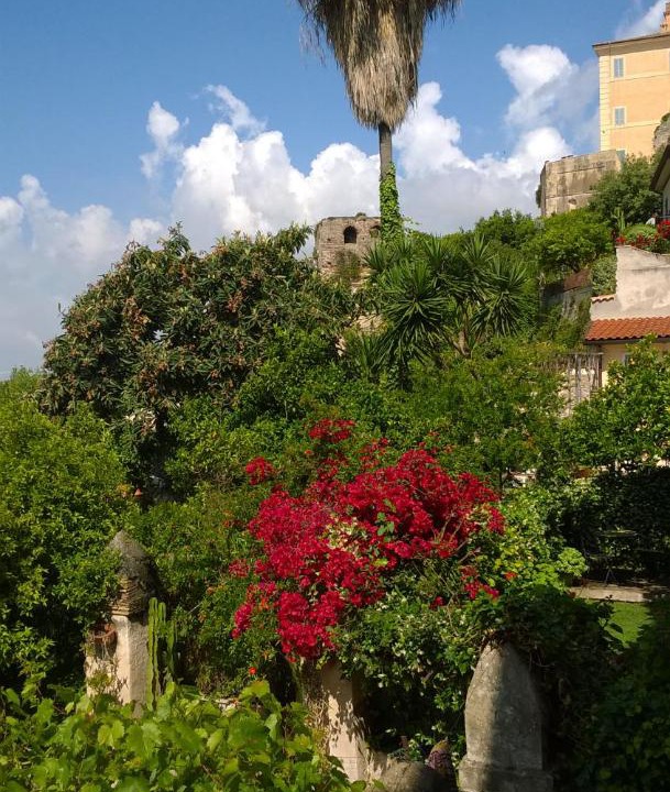 Photo of Others in Terracina