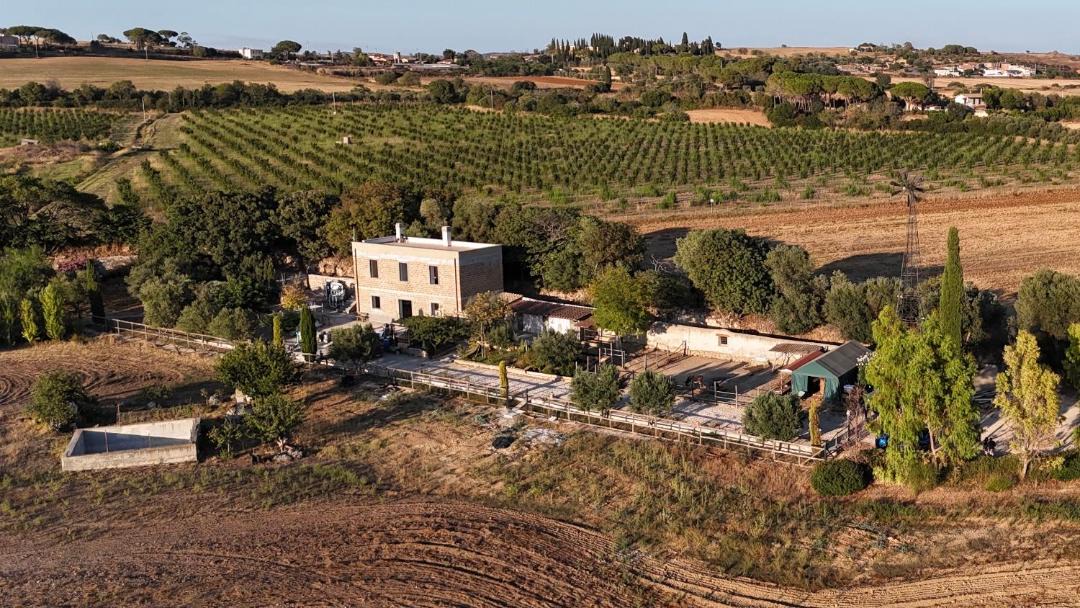 Photo of Others in Tarquinia
