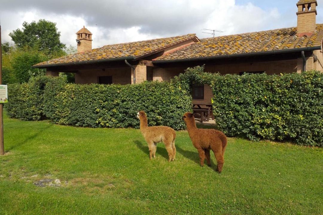 Photo of Others in Castiglione del Lago