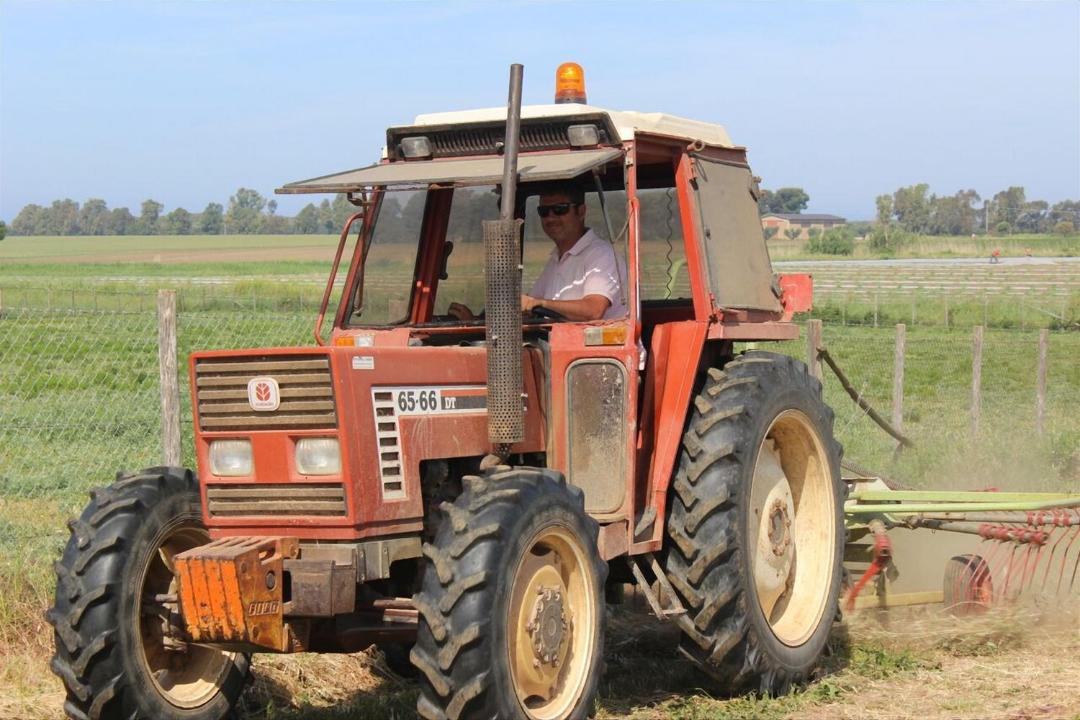 Photo of Others in Tarquinia