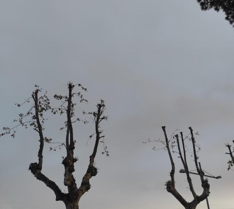 Photo of Others in Formia