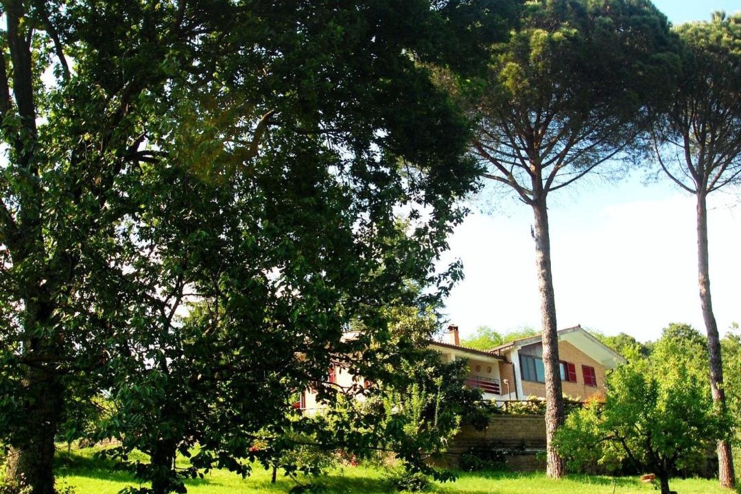Photo of Others in Poggio