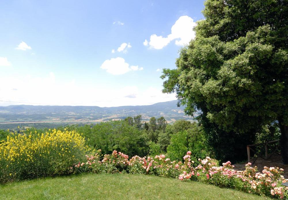 Photo of Others in Citta della Pieve
