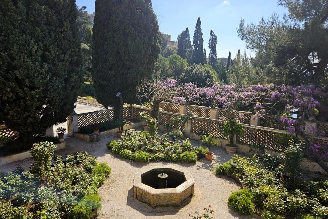 Photo of Others in Tivoli