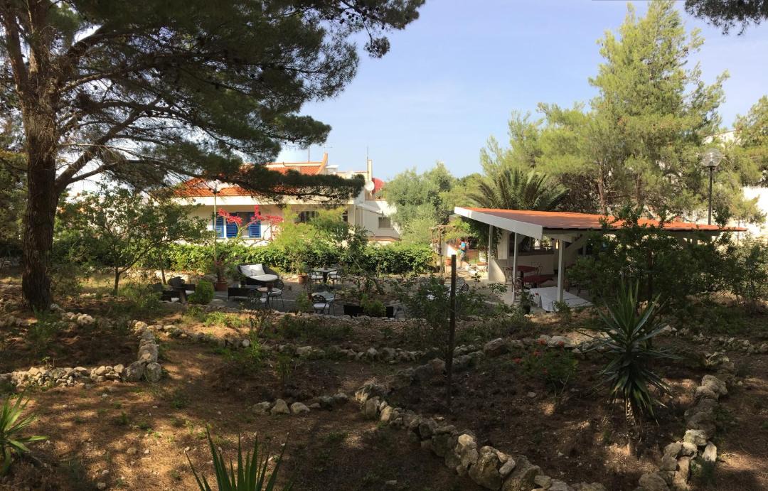 Photo of Others in Tremiti Islands