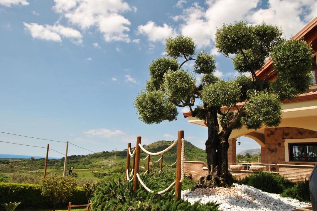 Photo of Others in Spigno Saturnia