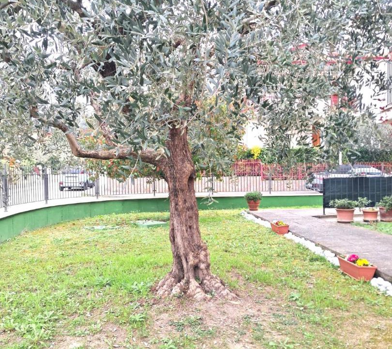 Photo of Others in Santa Maria degli Angeli