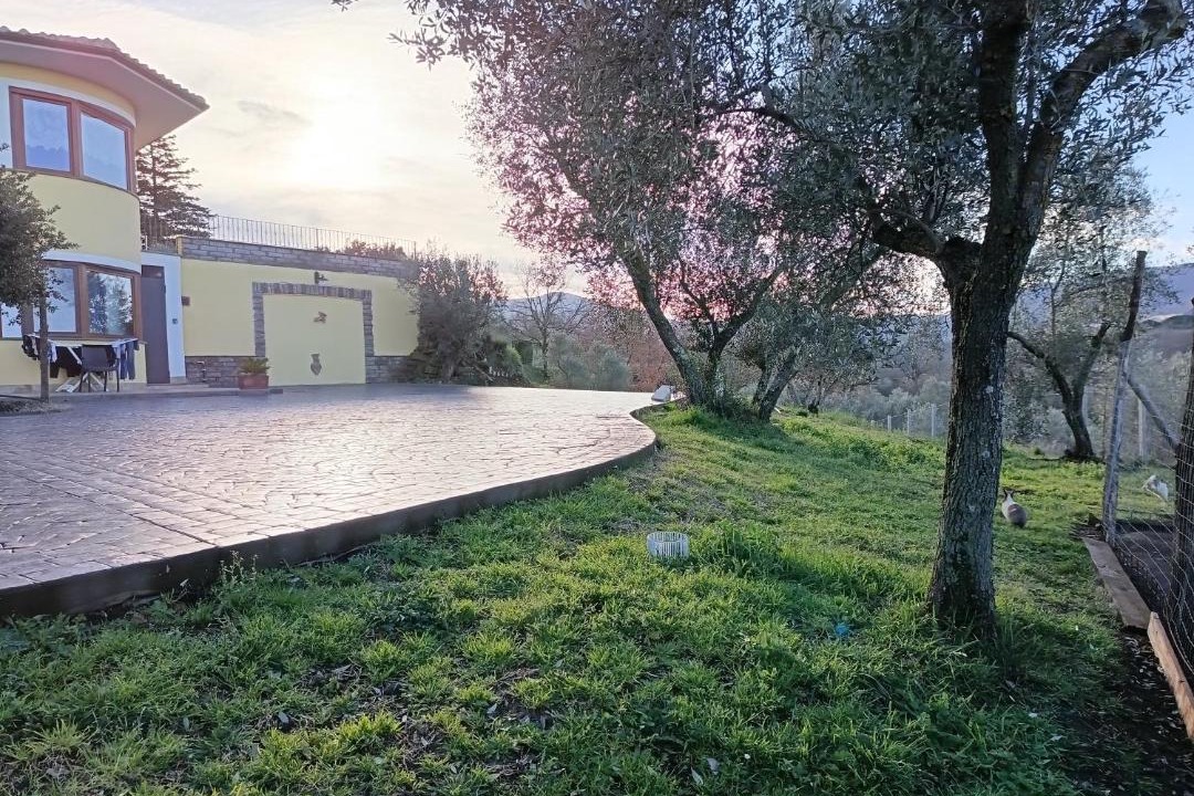 Photo of Others in Viterbo