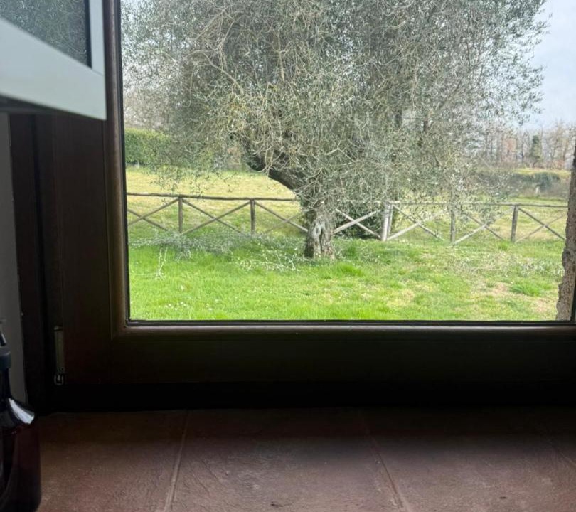 Photo of Others in San Lorenzo Nuovo