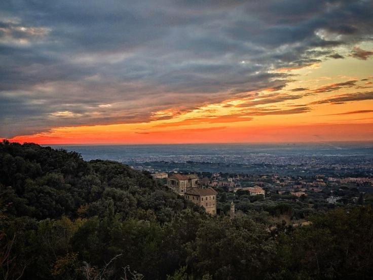 Photo of Others in Frascati