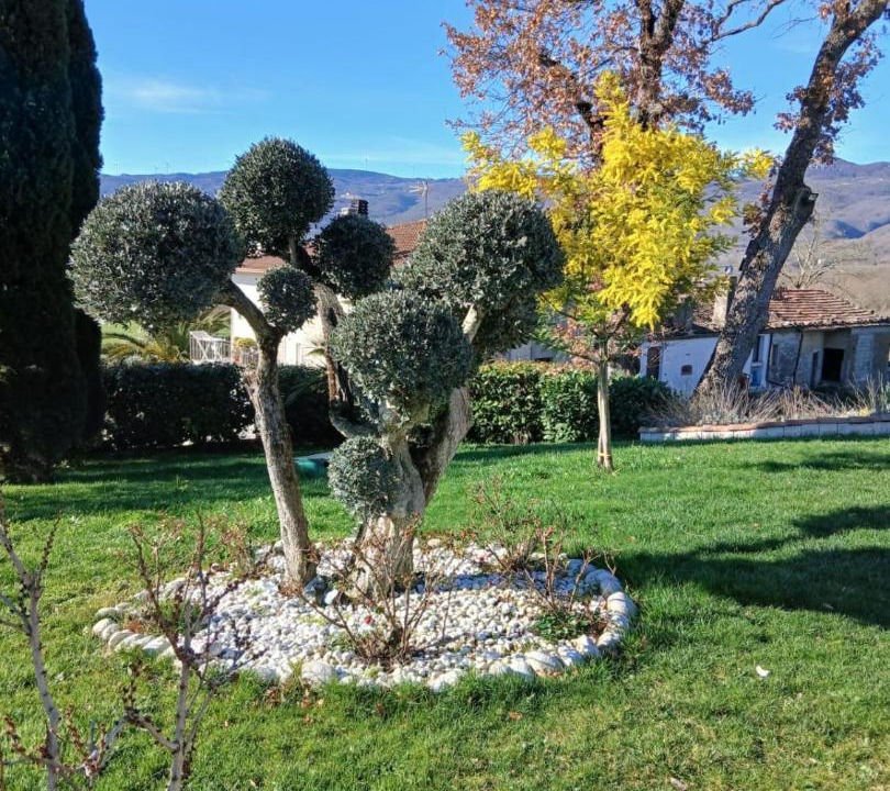 Photo of Others in Morcone
