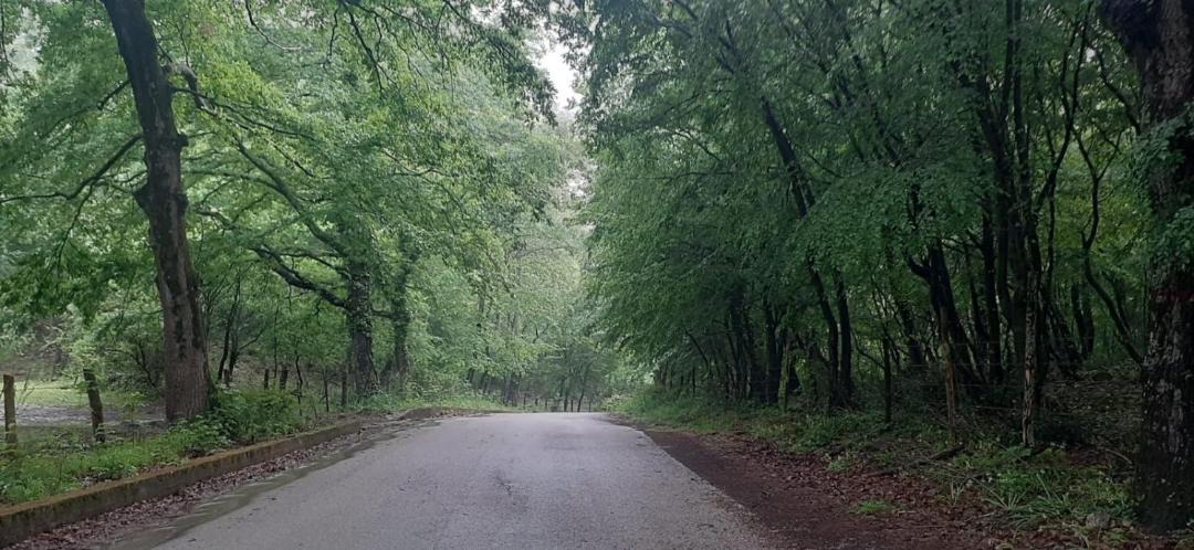 Photo of Outdoor in Postiglione