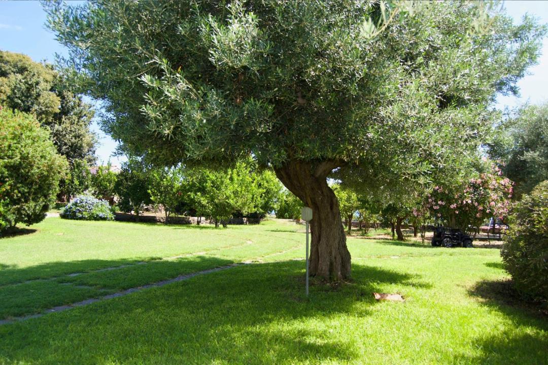 Photo of Outdoor in Aci San Filippo