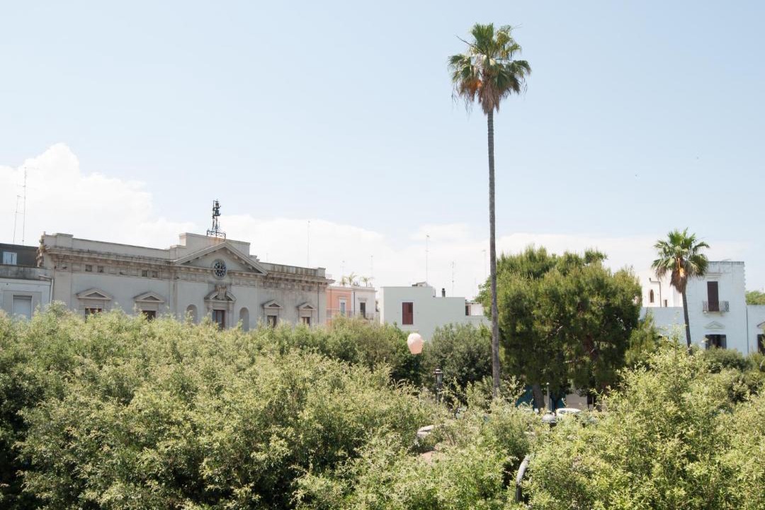 Photo of Outdoor in Mola di Bari