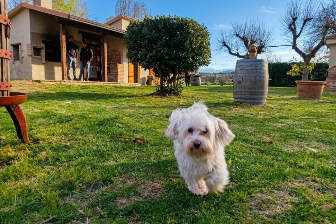Photo of Others in Castel Ritaldi