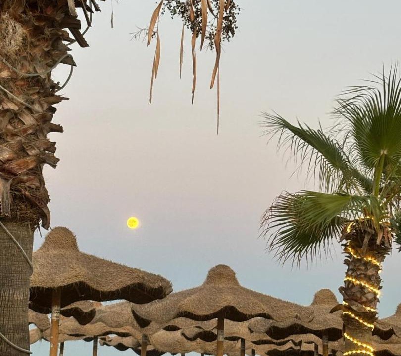 Photo of Others in Manfredonia