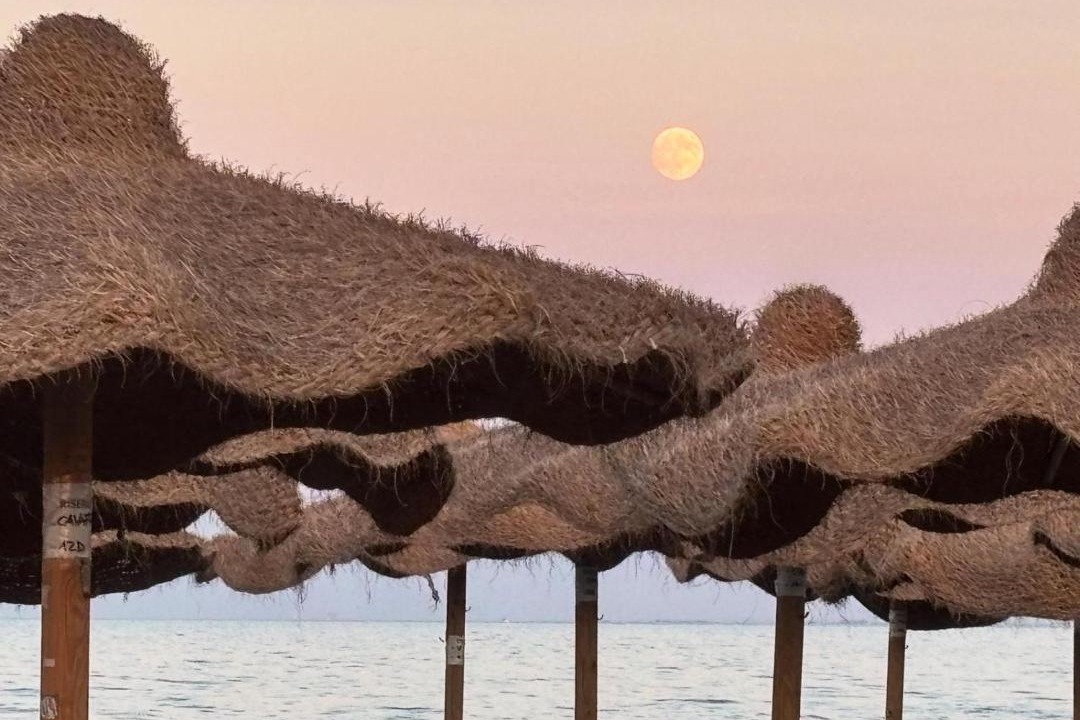 Photo of Others in Manfredonia