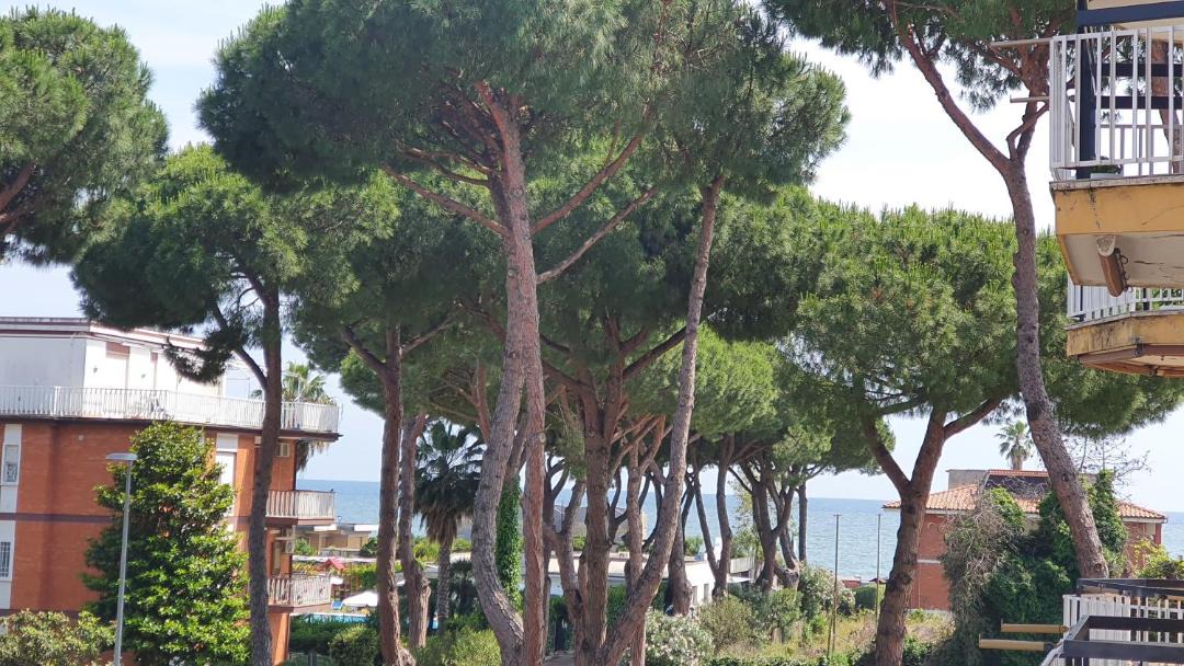 Photo of Others in Terracina