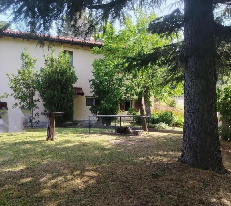 Photo of Others in Monzuno