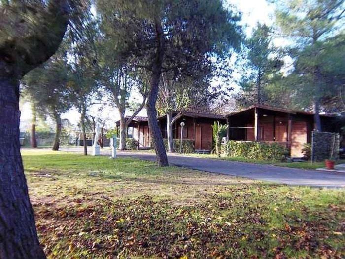Photo of Others in Foce Varano