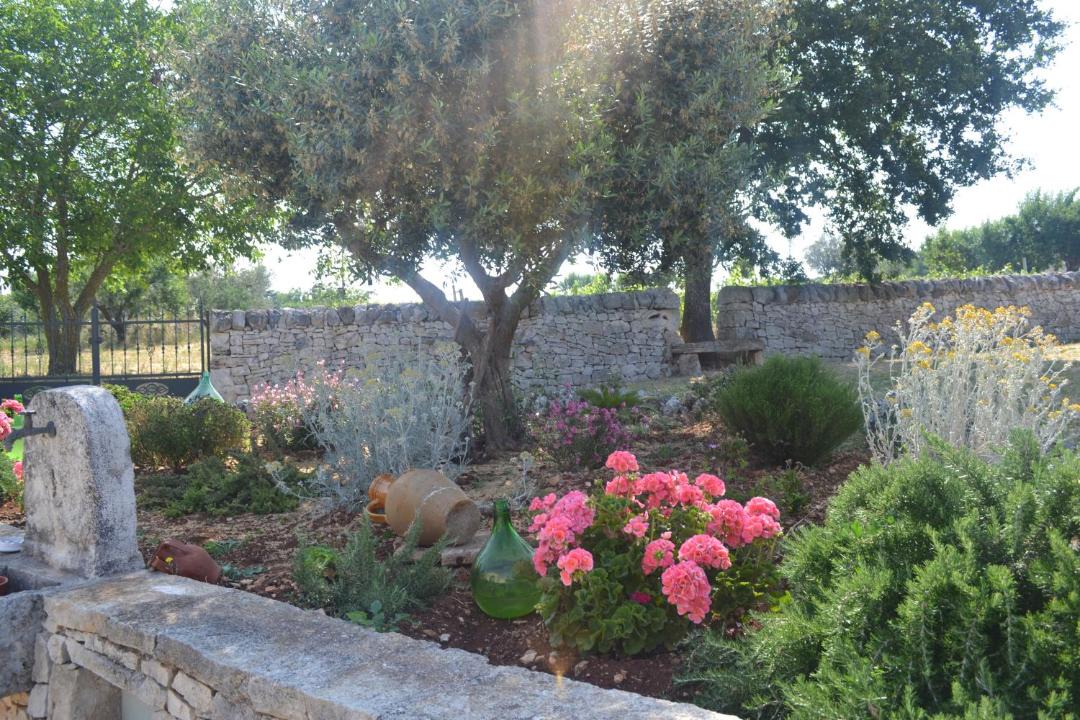 Photo of Others in Martina Franca