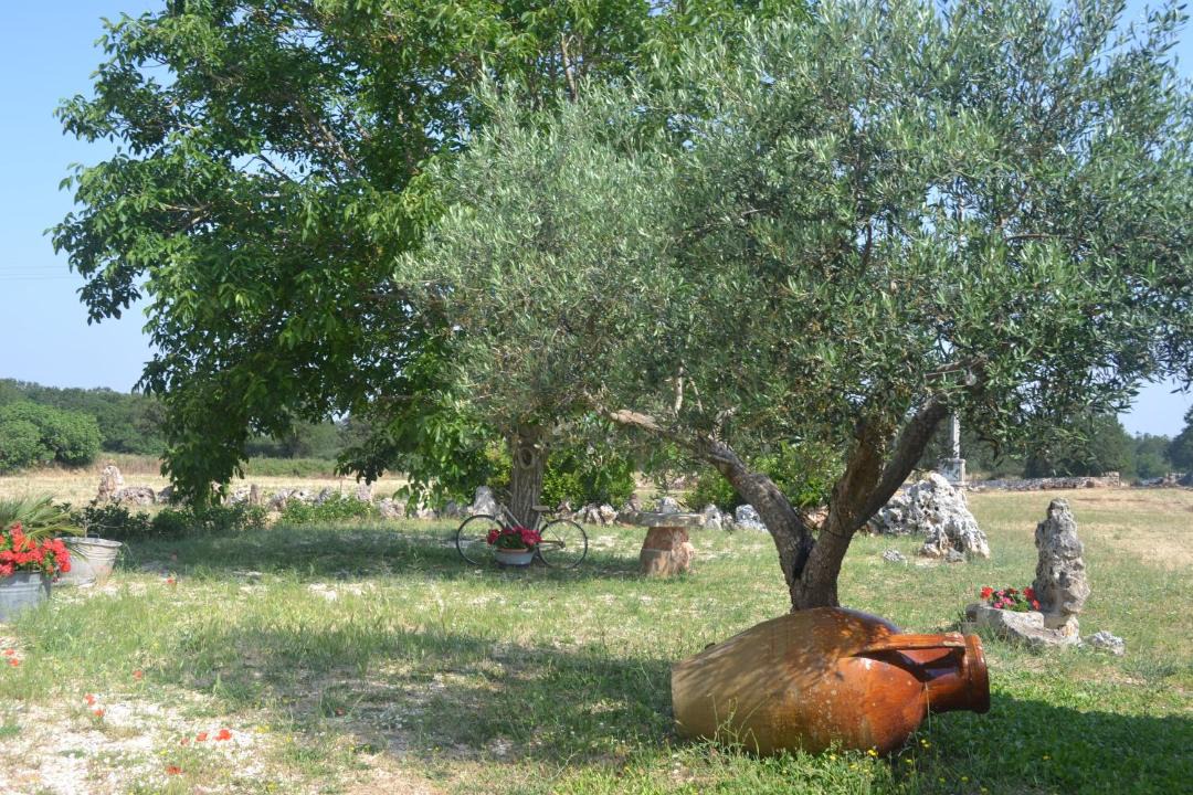 Photo of Others in Martina Franca