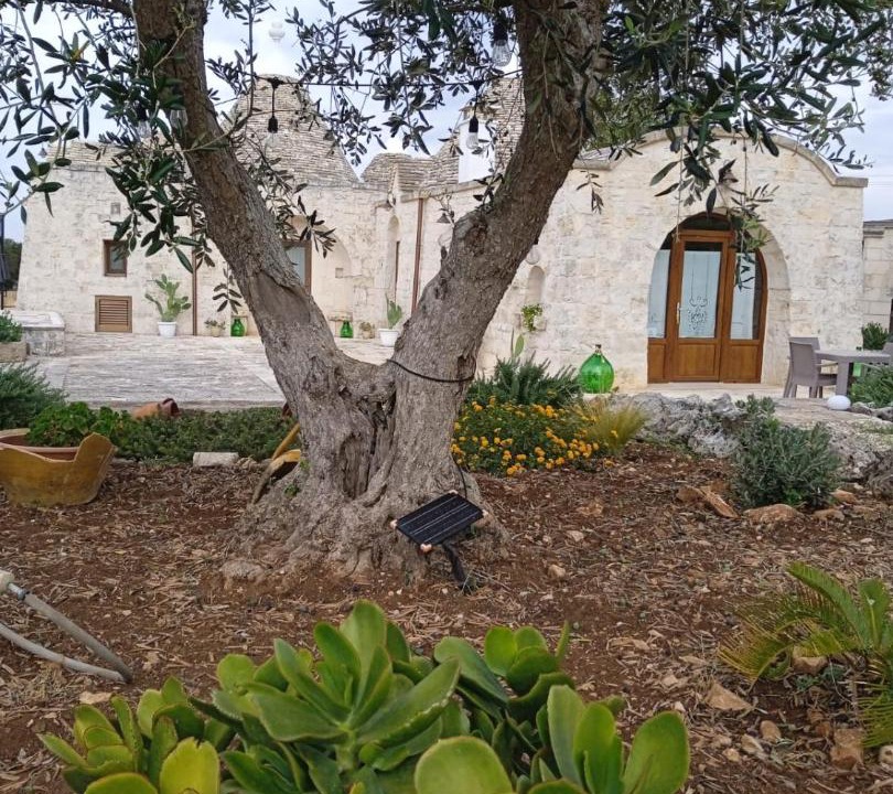 Photo of Others in Martina Franca