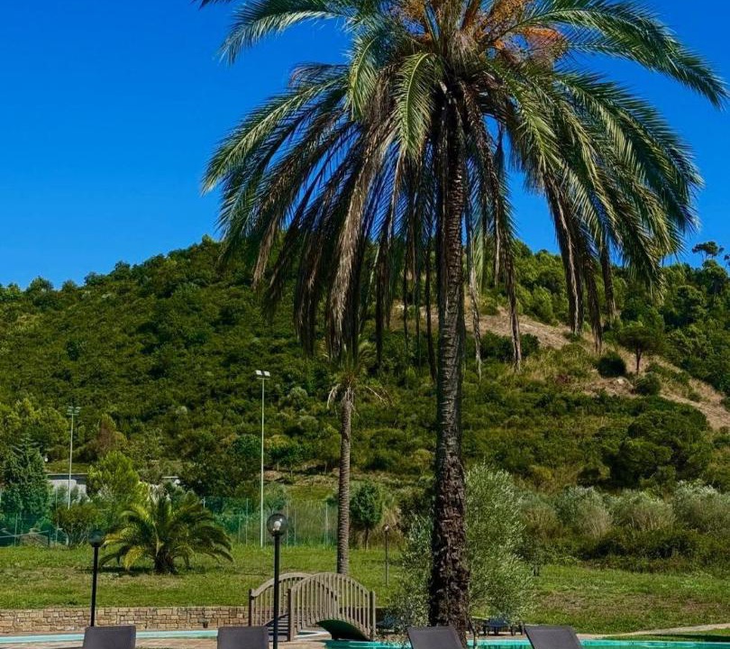 Photo of Others in Castellabate