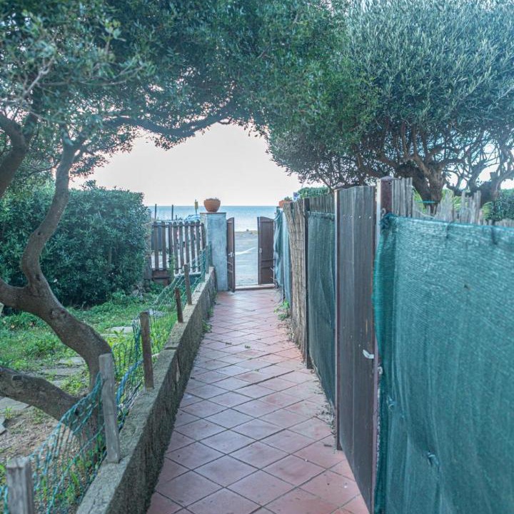 Photo of Others in Giglio Campese