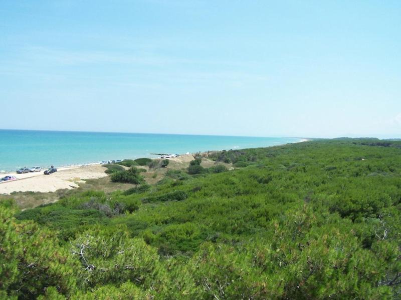 Photo of Others in Marina di Chieuti