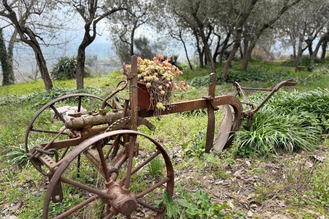 Photo of Others in Montefalco