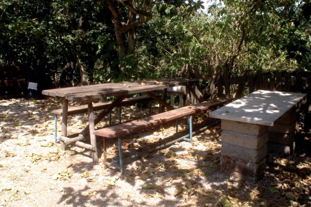 Photo of Others in Zona XLV Castel di Guido