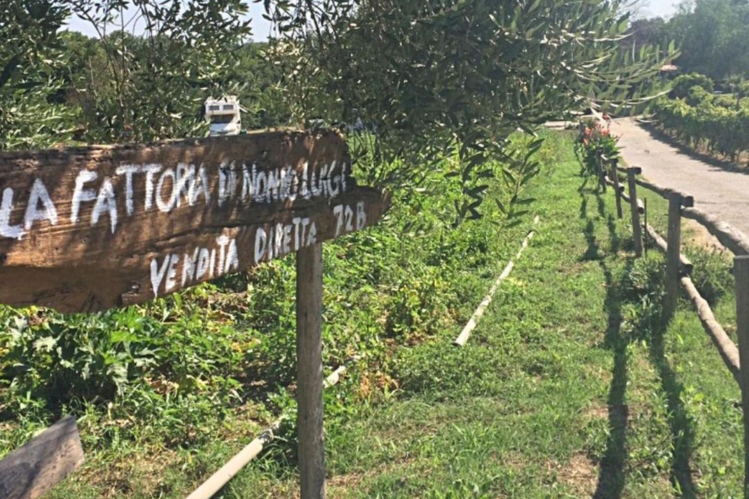 Photo of Others in Zona XLV Castel di Guido