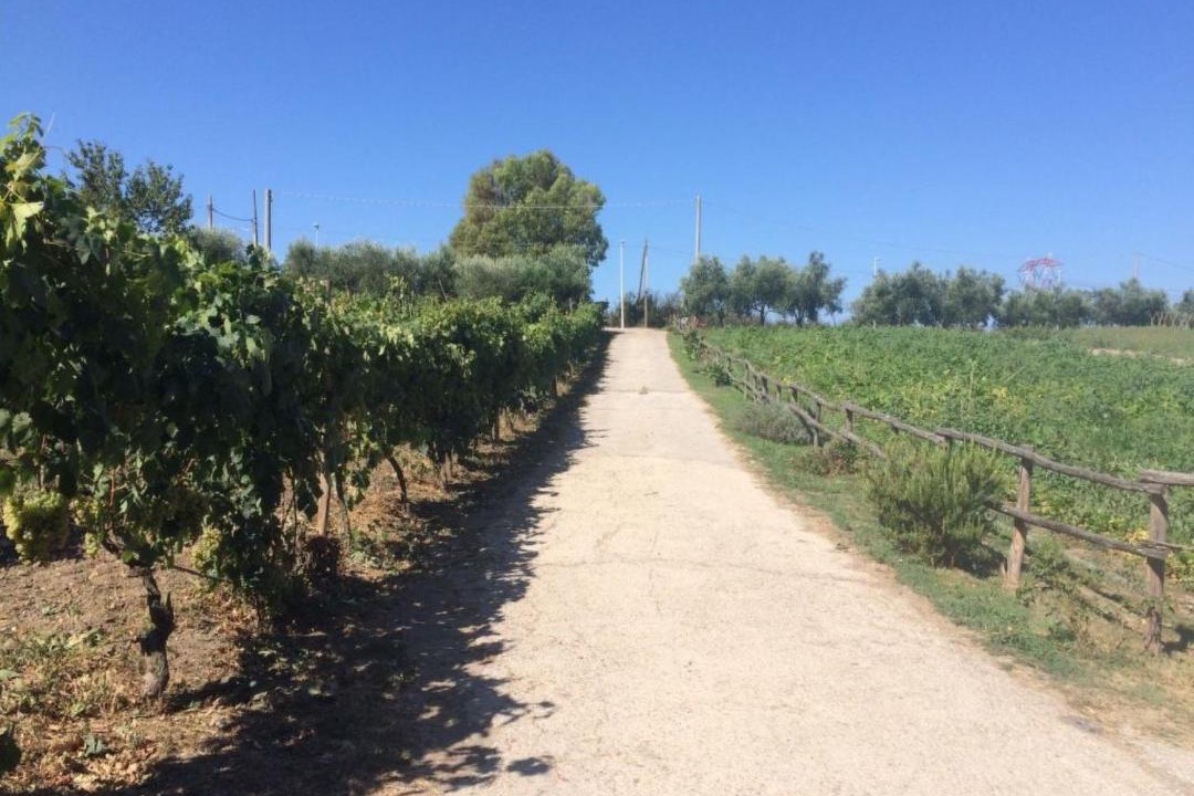 Photo of Others in Zona XLV Castel di Guido