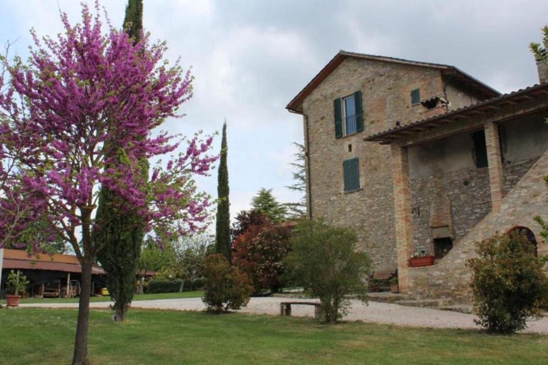 Photo of Others in Coltavolino