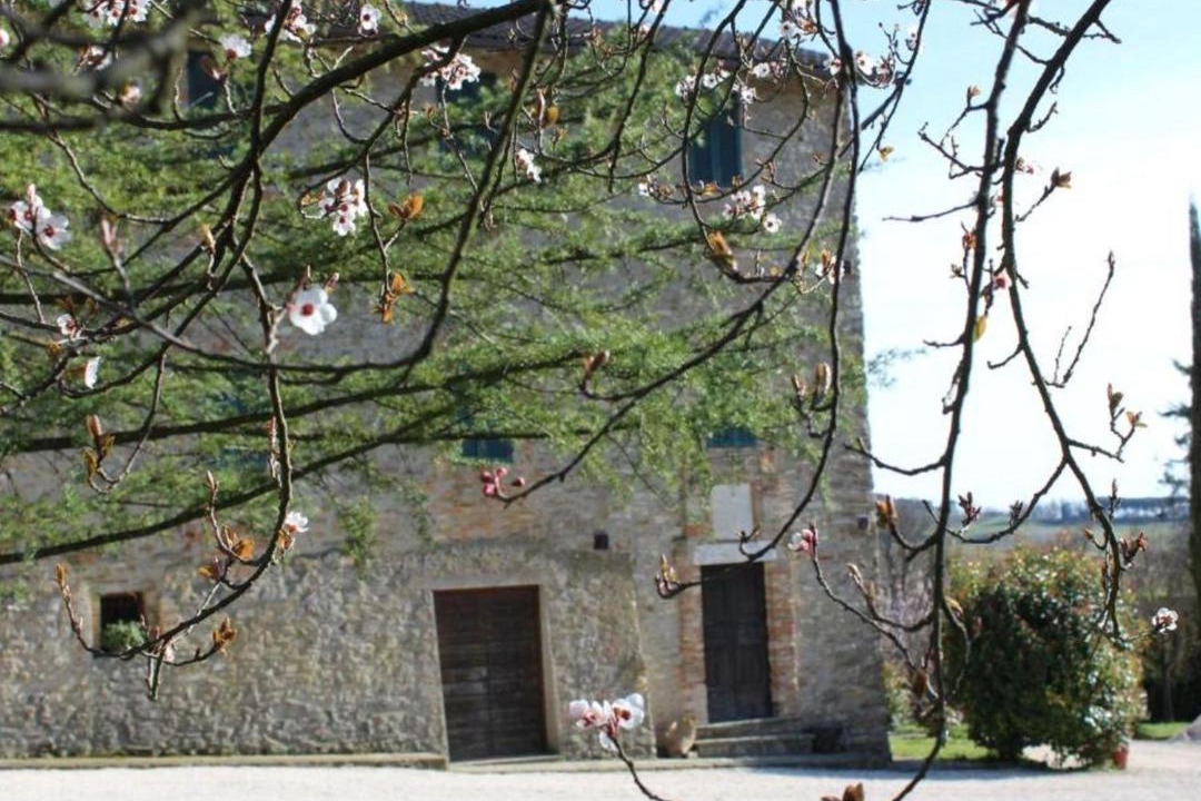 Photo of Others in Coltavolino