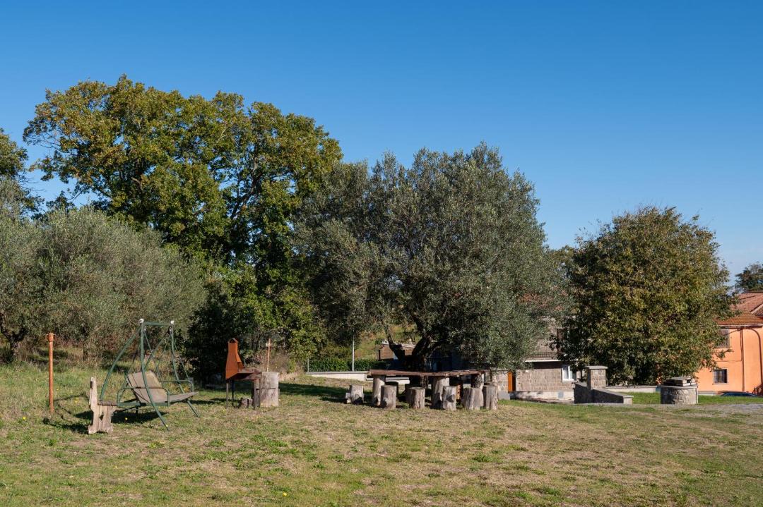 Photo of Others in Montefiascone