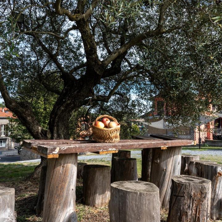 Photo of Outdoor in Montefiascone