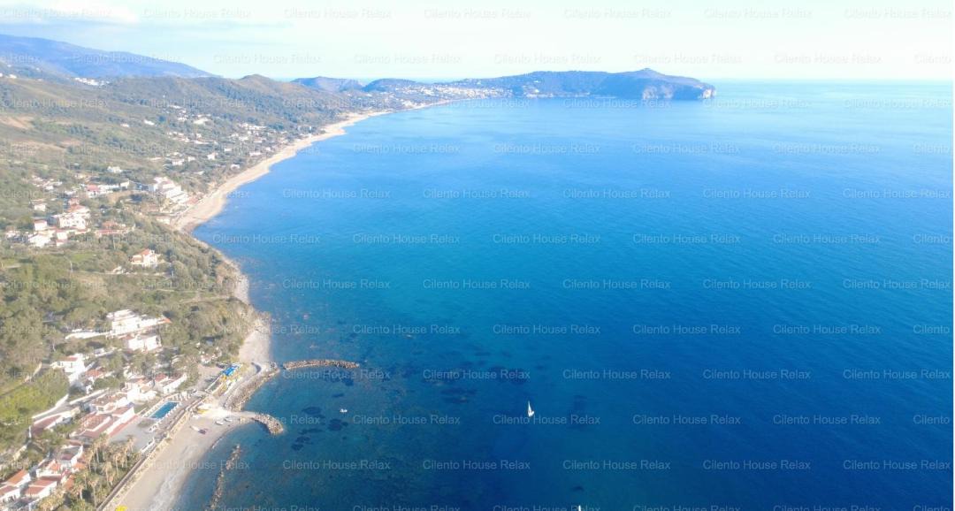 Photo of Others in Caprioli