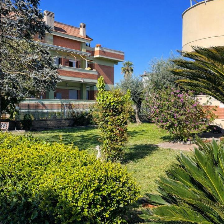 Photo of Others in Nettuno