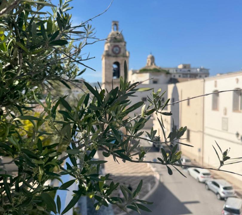 Photo of Others in Manfredonia