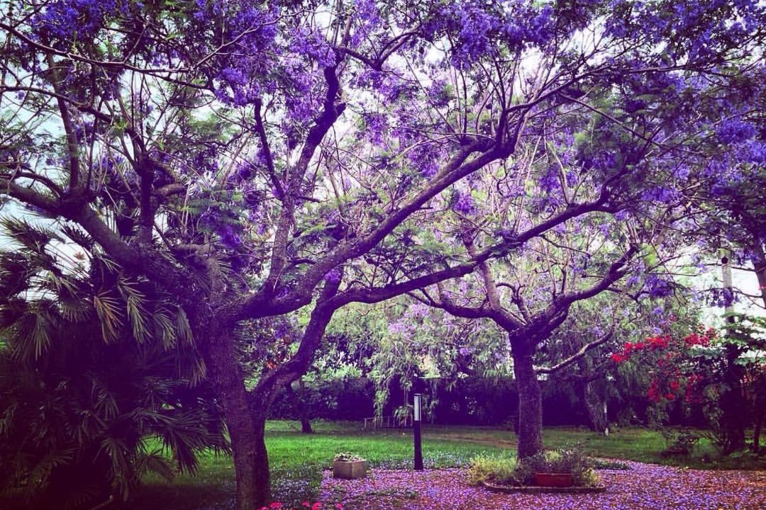 Photo of Outdoor in Altavilla Silentina