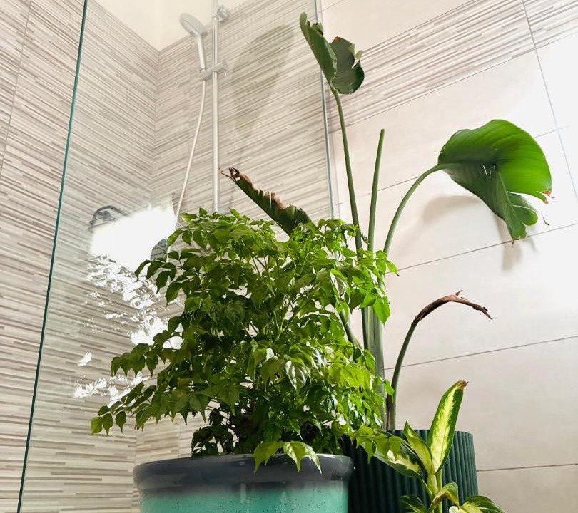 Photo of Bathroom in Orbetello