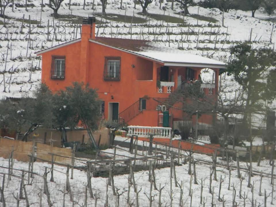 Photo of Others in Frascati