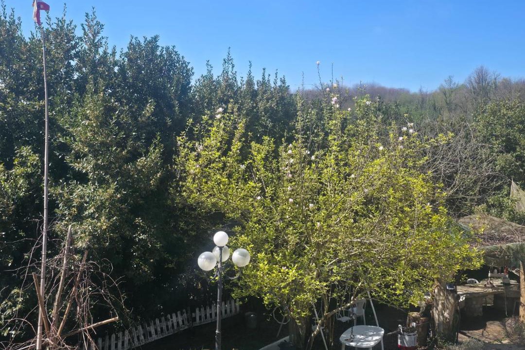 Photo of Outdoor in Norma