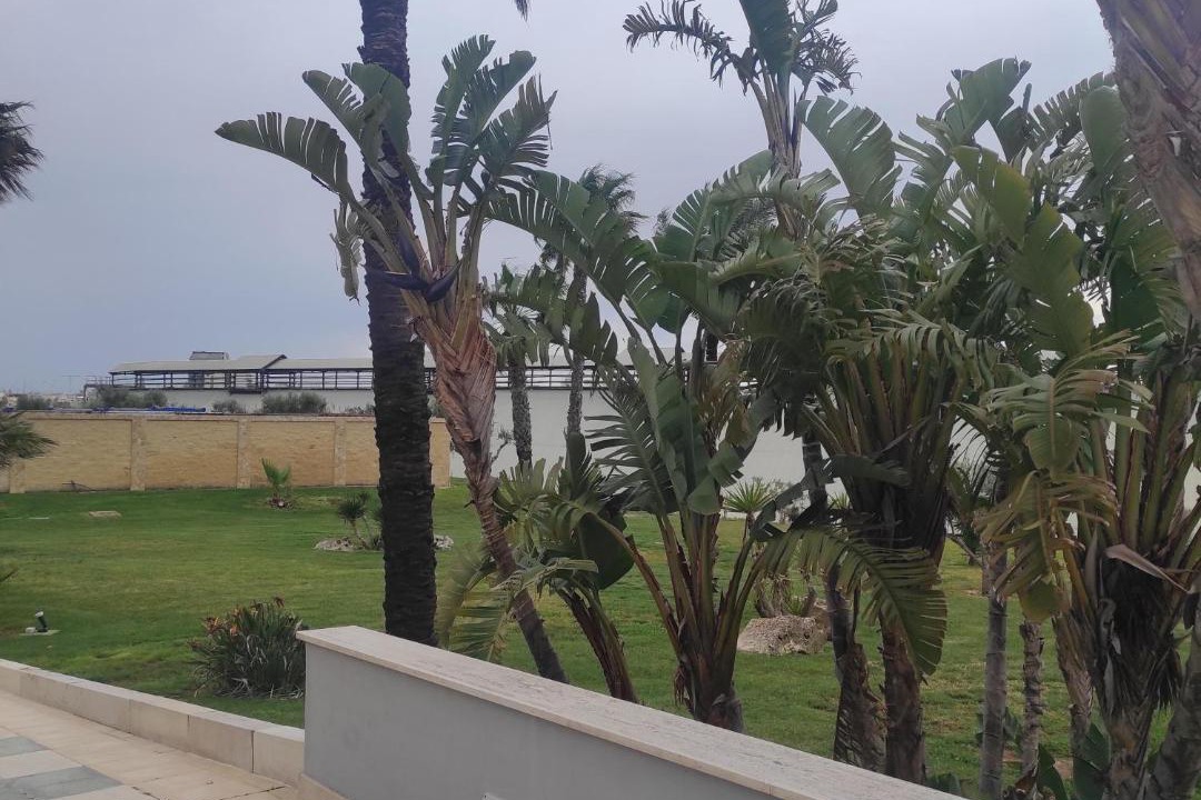 Photo of Others in Brindisi