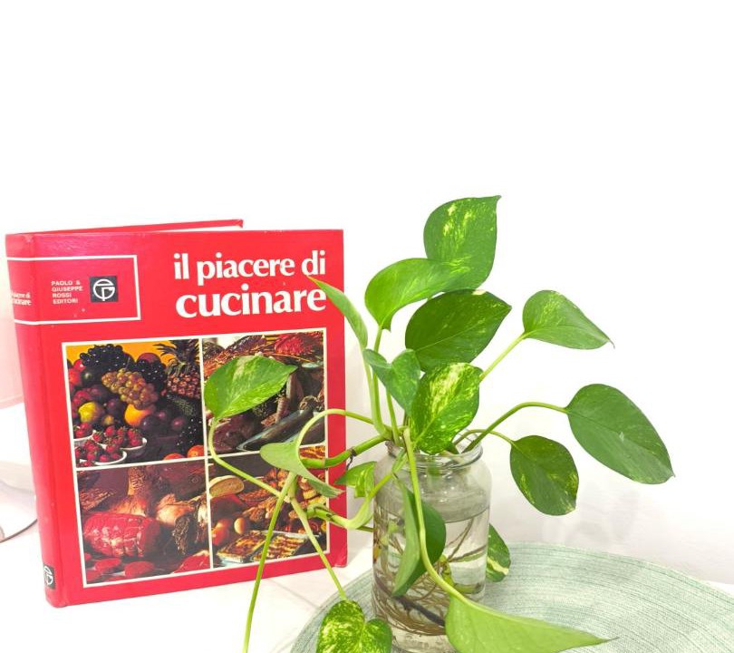Photo of Kitchen in Ariccia