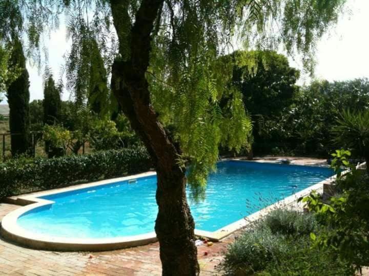 Photo of Others in Lucera